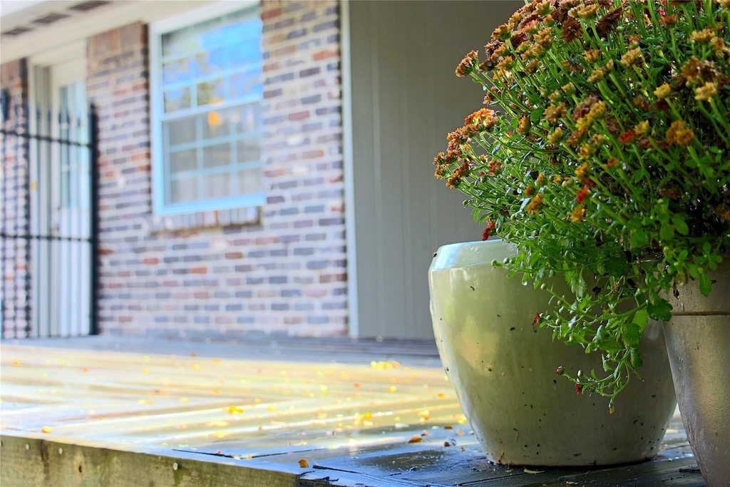 10306 Bob White Drive - Photo 20