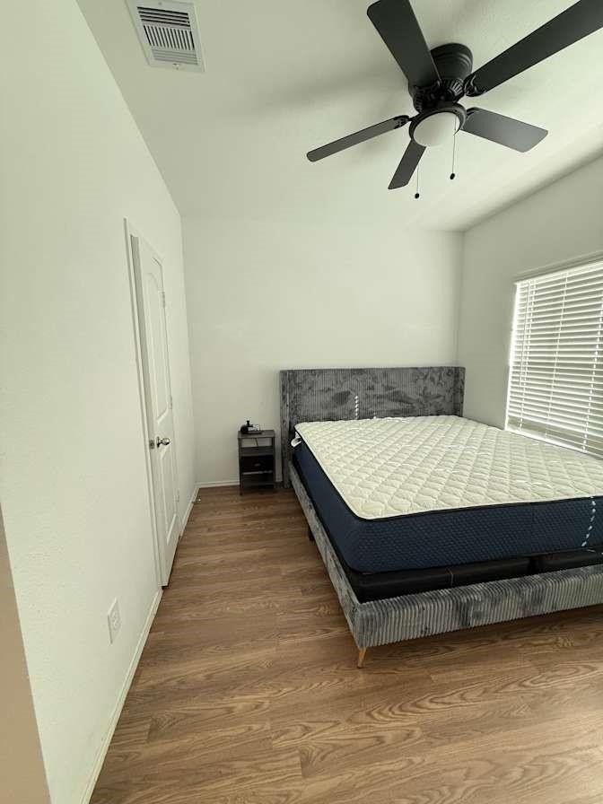 21202 Frosted Fern Lane - Photo 8