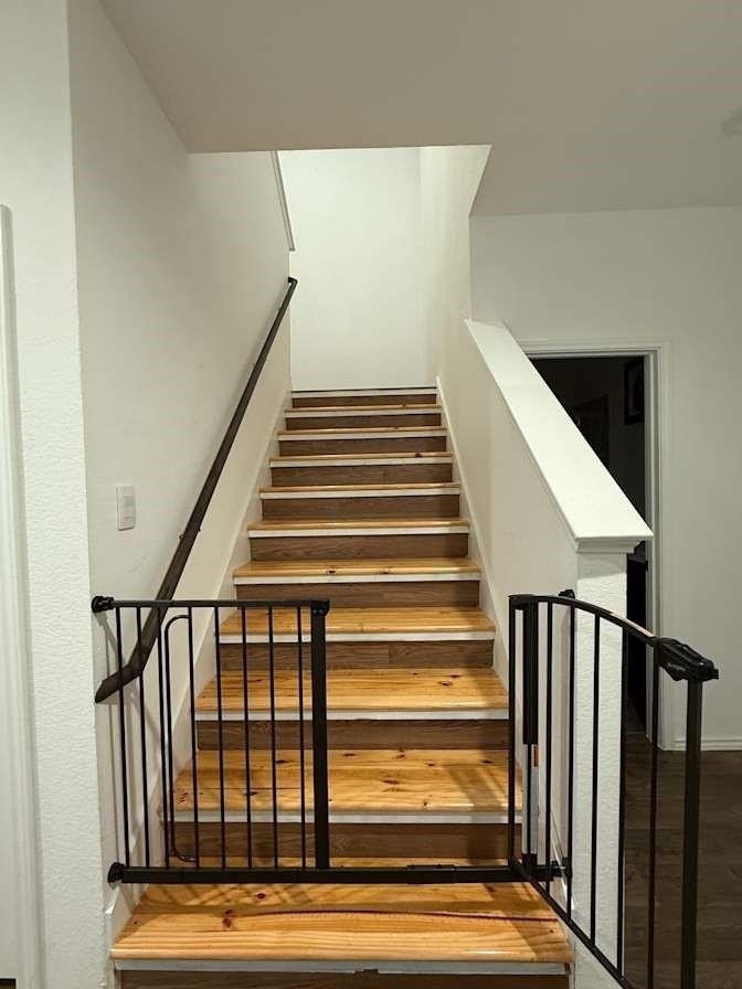 21202 Frosted Fern Lane - Photo 9