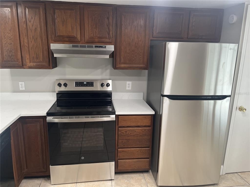 1003 W Horatio Street - Photo 5