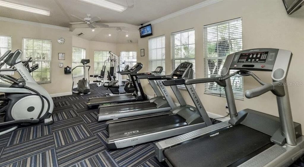 8103 Coconut Palm Way - Photo 26