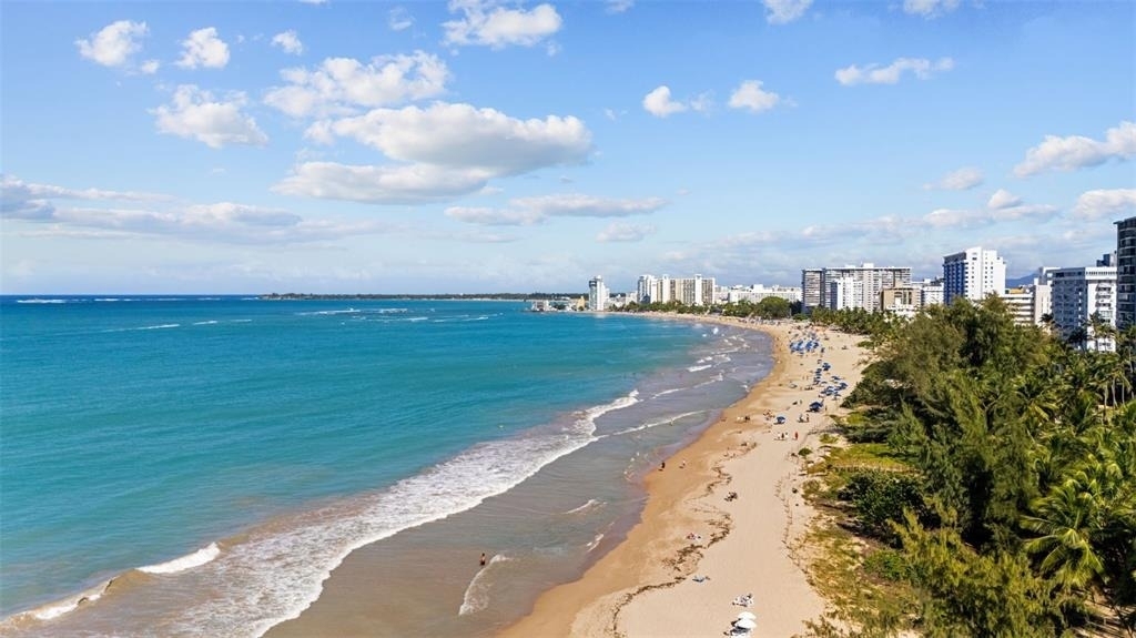 4429 Ave. Isla Verde - Photo 15