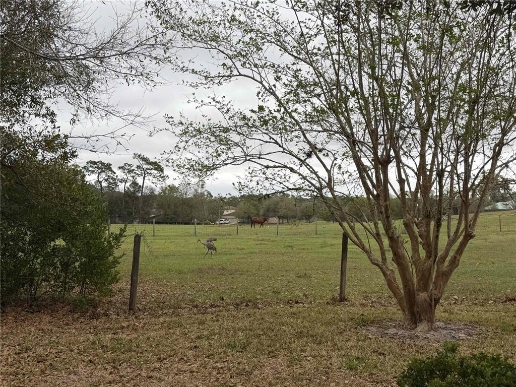 2535 S Glen Eagles Drive - Photo 24
