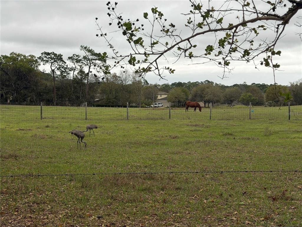 2535 S Glen Eagles Drive - Photo 25