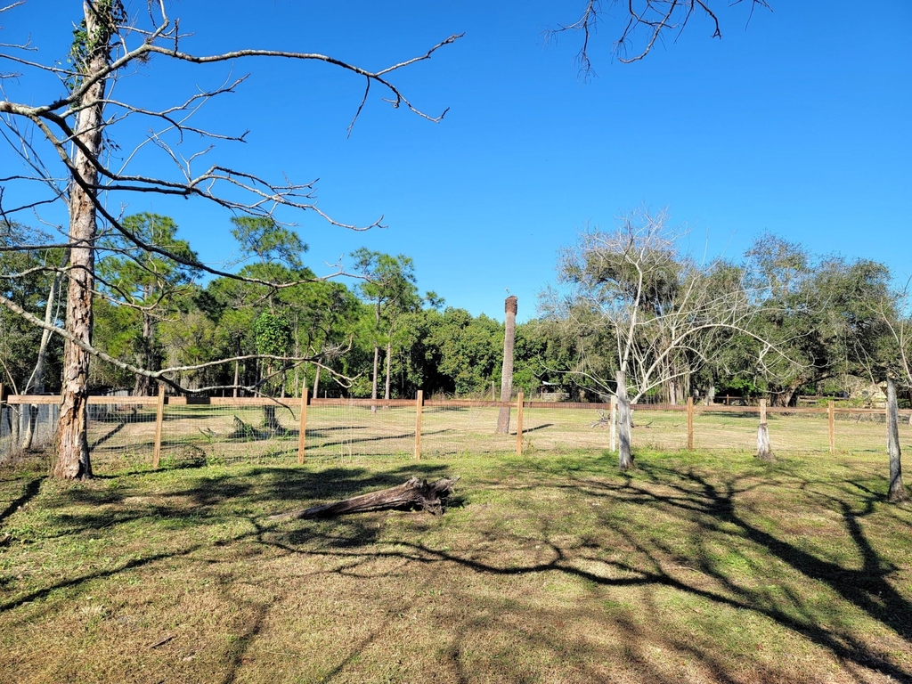 4362 W Midway Road - Photo 3