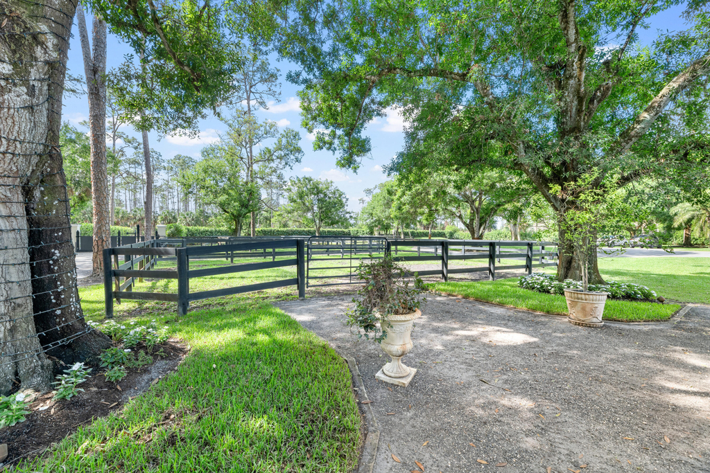 15161 Collecting Canal Road - Photo 3