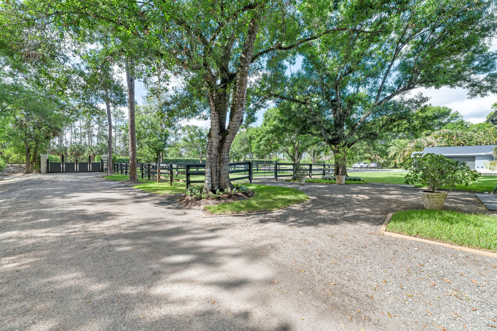 15161 Collecting Canal Road - Photo 4