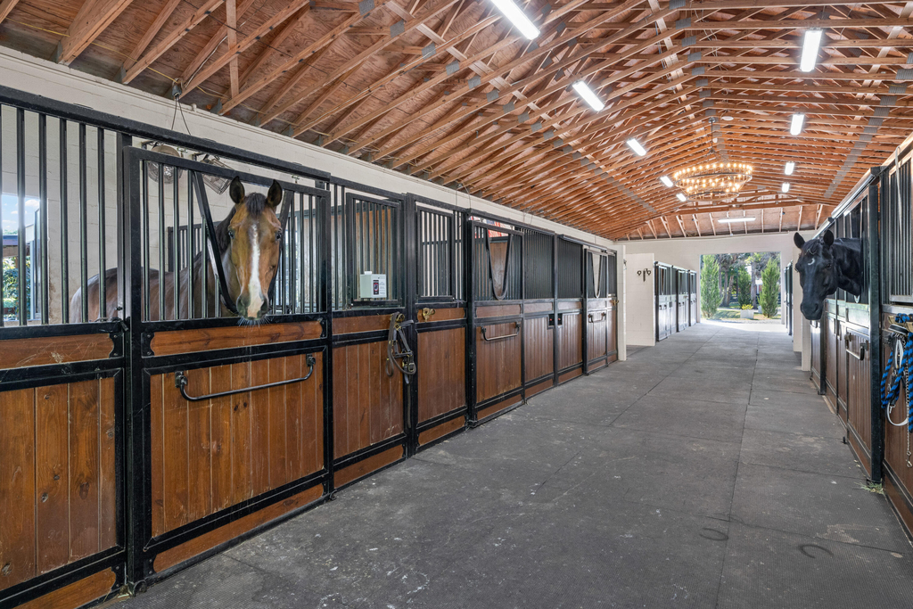 15161 Collecting Canal Road - Photo 2