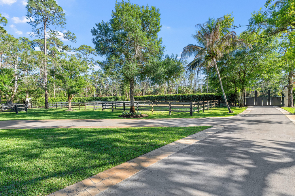 15161 Collecting Canal Road - Photo 38
