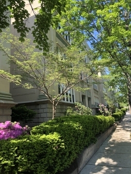 50 Egmont St - Photo 9