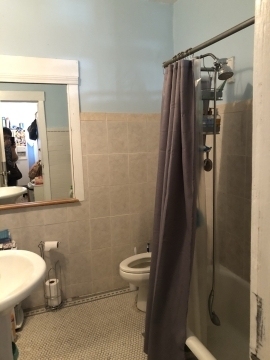 50 Egmont St - Photo 6
