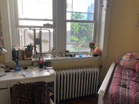 50 Egmont St - Photo 1