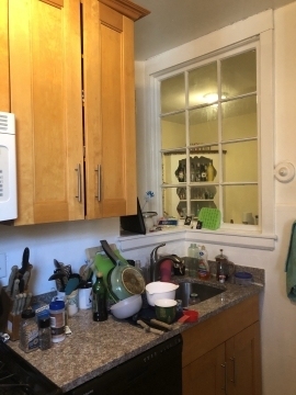 50 Egmont St - Photo 10