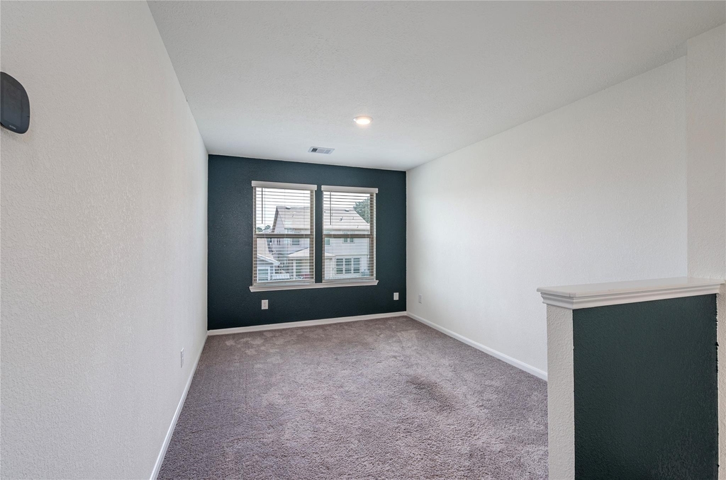 17214 Texas Willow Drive - Photo 23