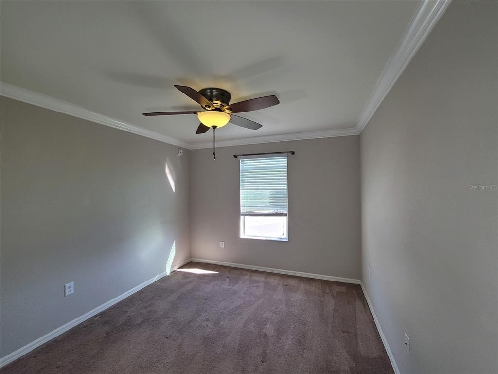 27542 Desert Willow Way - Photo 23