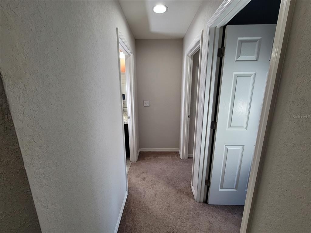 27542 Desert Willow Way - Photo 19