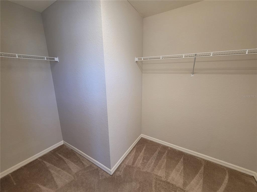 27542 Desert Willow Way - Photo 16