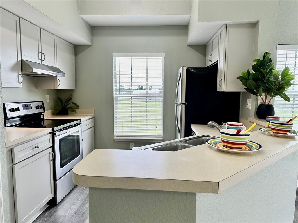 10534 White Lake Court - Photo 2