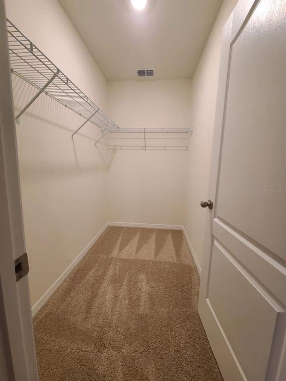 2006 King Ranch Street - Photo 12