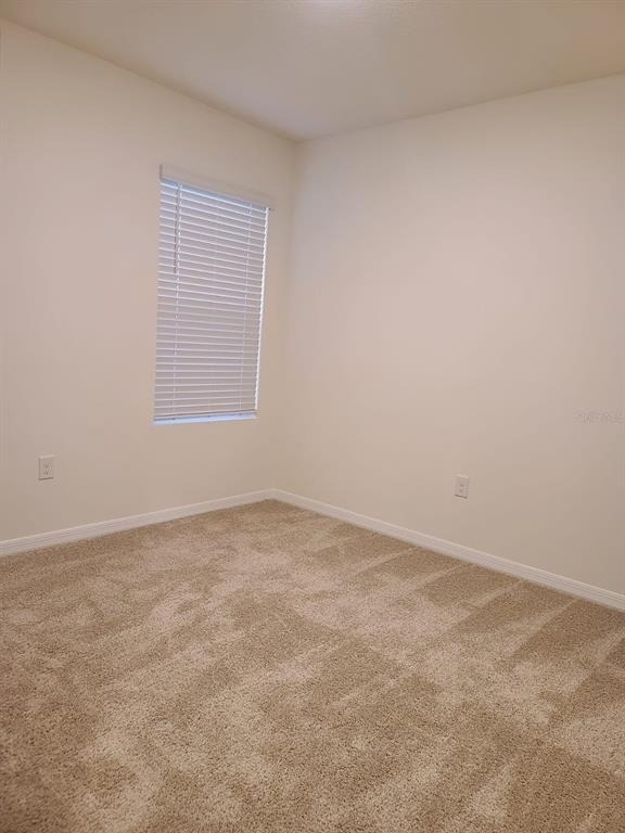 2006 King Ranch Street - Photo 13