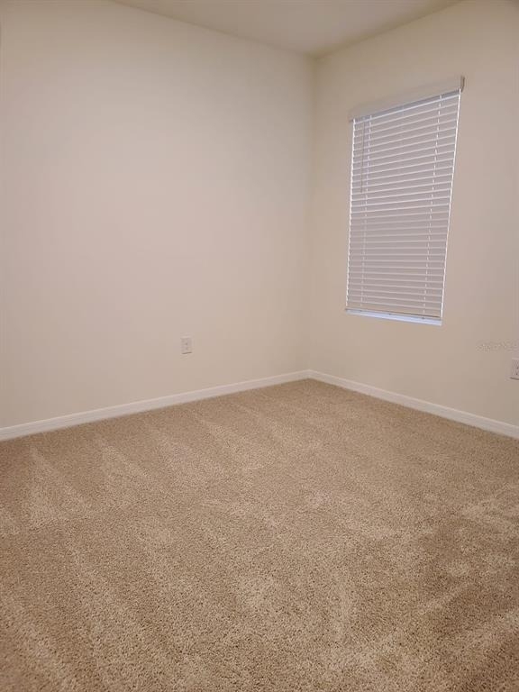 2006 King Ranch Street - Photo 4
