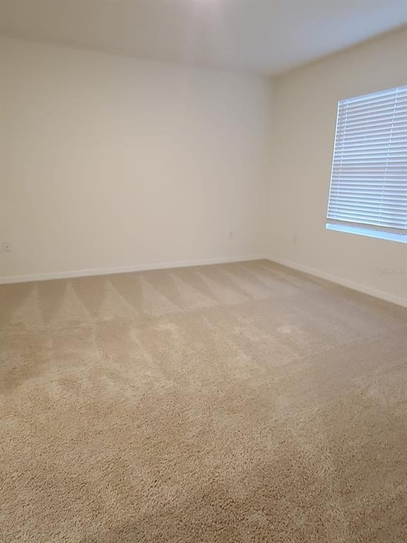 2006 King Ranch Street - Photo 10