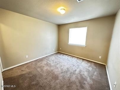 14304 Gil Reyes Drive - Photo 10