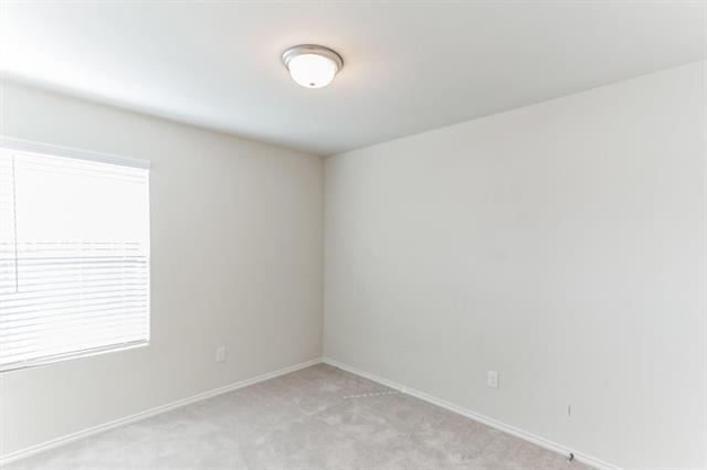 16009 Wanderer Lane - Photo 16