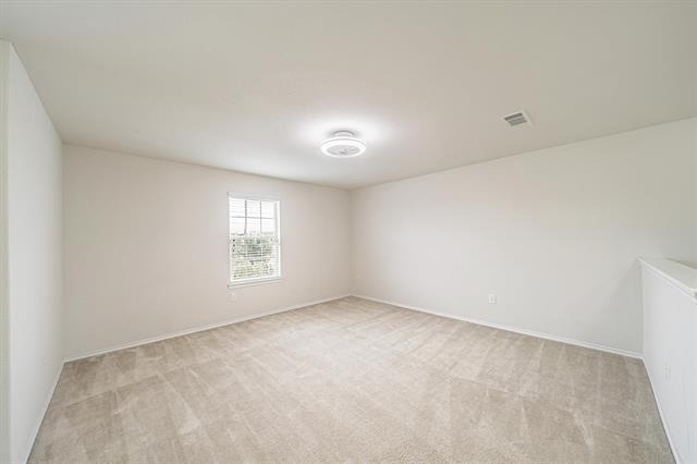 5007 Royal Amber Lane - Photo 19