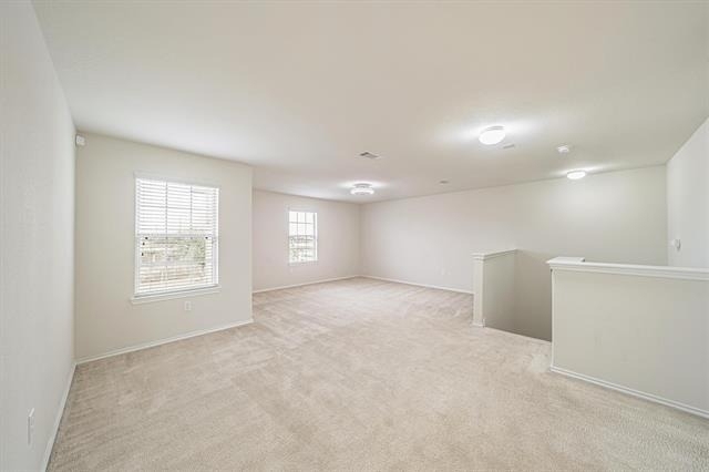 5007 Royal Amber Lane - Photo 18