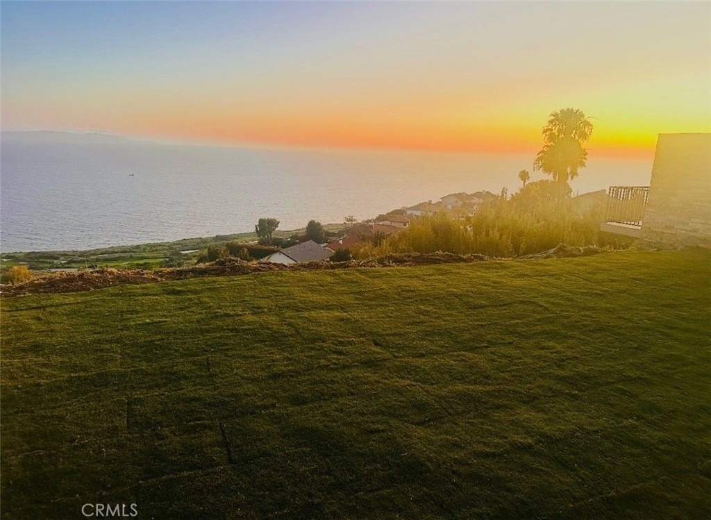 31245 Ganado Drive - Photo 23
