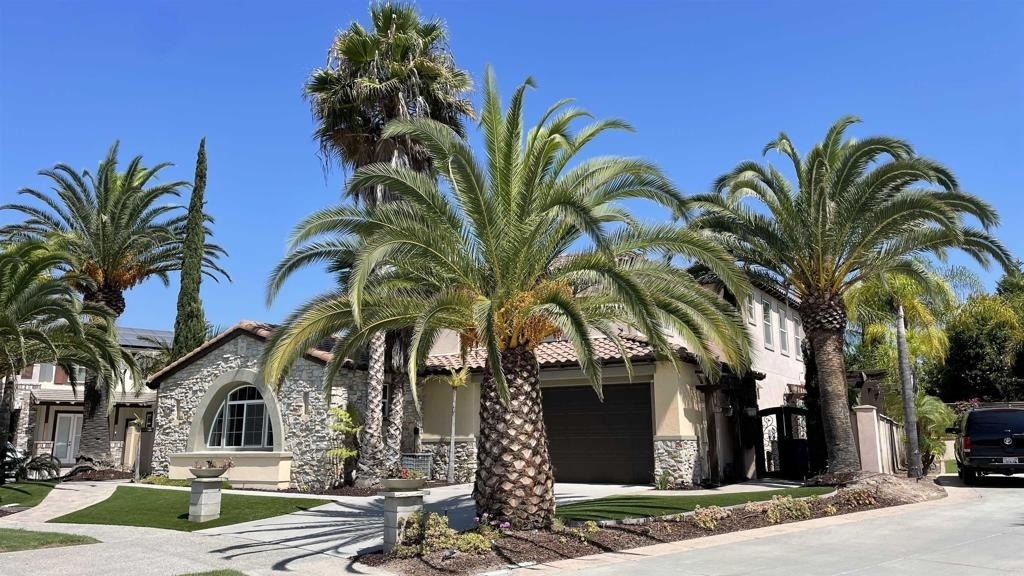 1050 White Alder Avenue - Photo 2