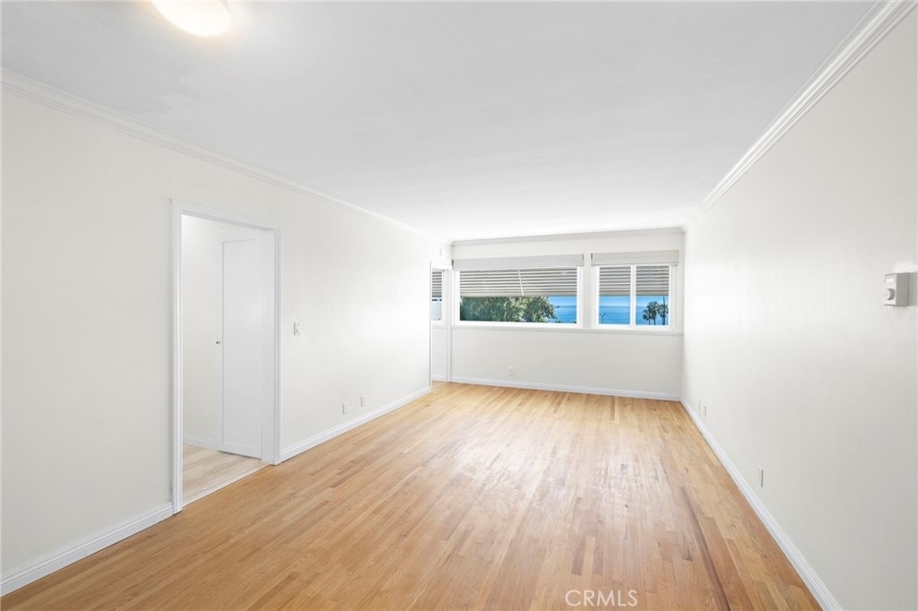 245 Aster - Photo 5