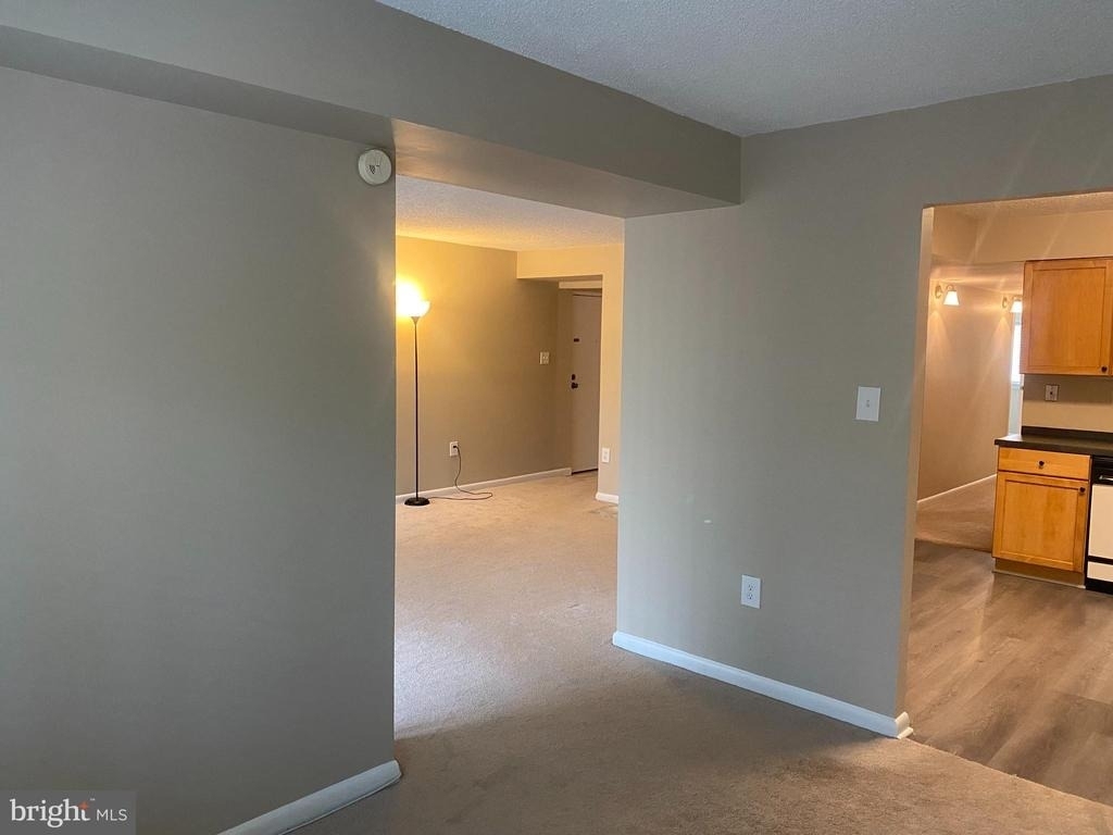 11723 Karbon Hill Court - Photo 9