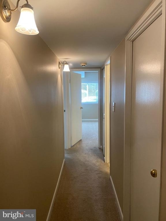 11723 Karbon Hill Court - Photo 14