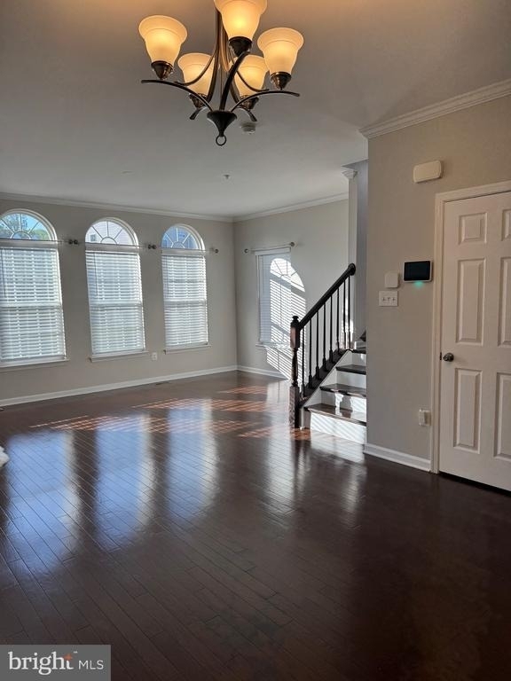 4619 Forest Pines Drive - Photo 1