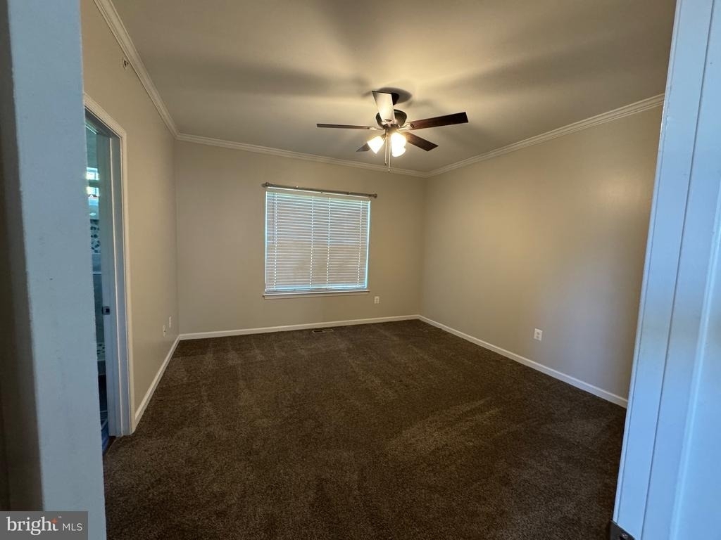 4619 Forest Pines Drive - Photo 13