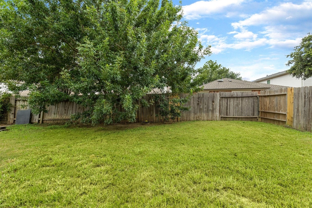 17334 Turquoise Stream Drive - Photo 30