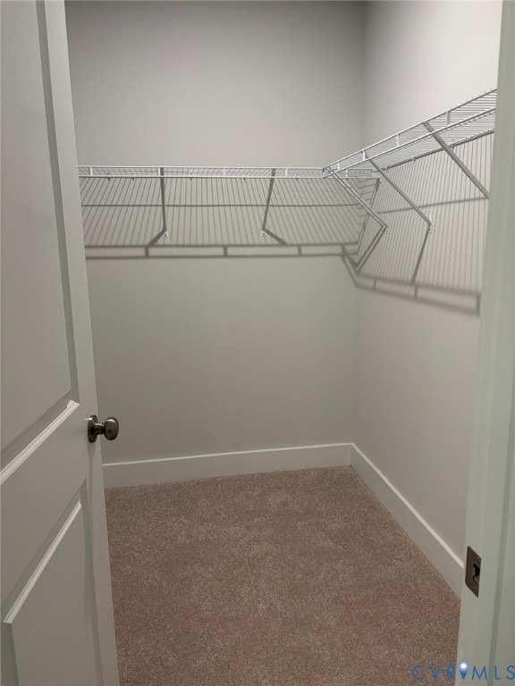 3625 Notch Trail Ln - Photo 10