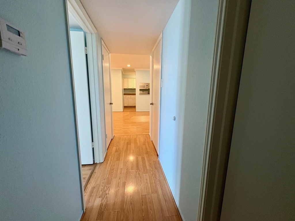4635 Wild Indigo Street - Photo 3
