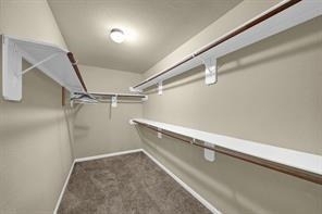 4274 Mcgregor Bluff Lane - Photo 19