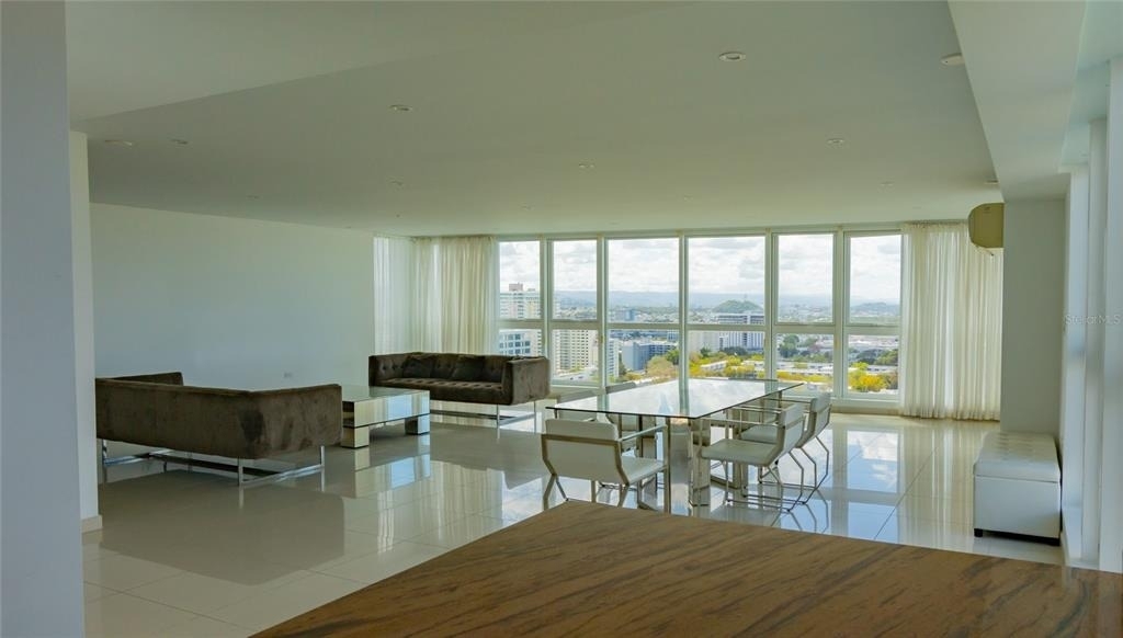 48 Luis Munoz Rivera Avenue - Photo 6