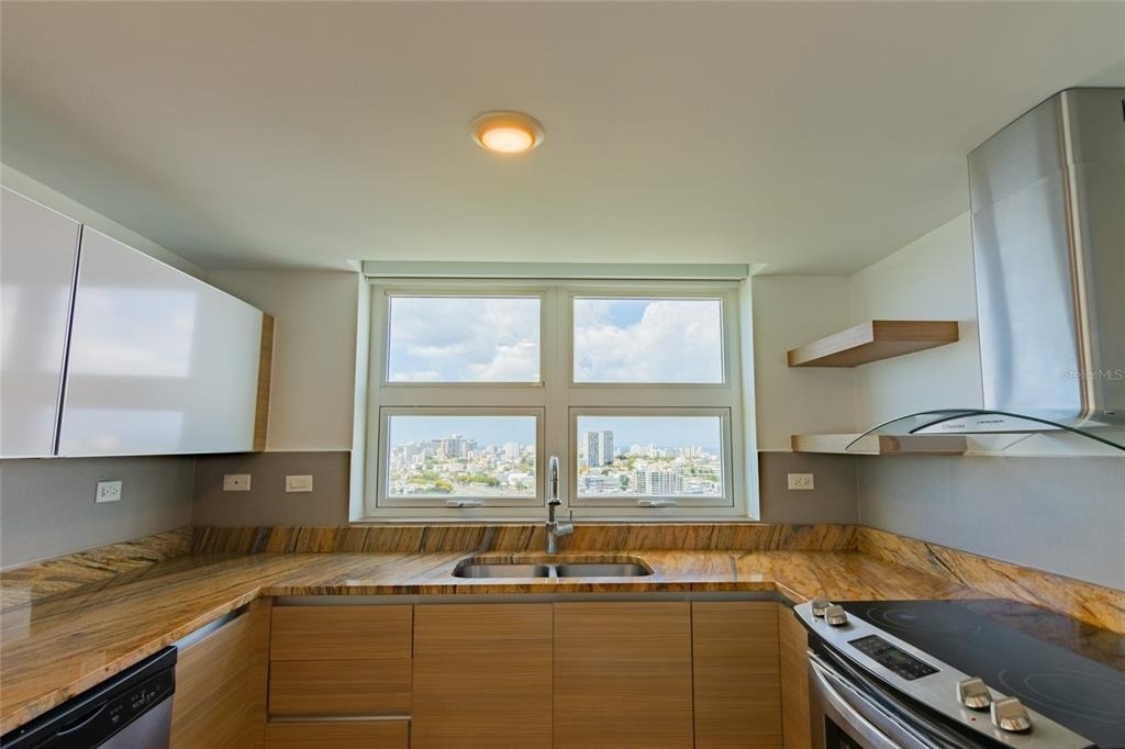 48 Luis Munoz Rivera Avenue - Photo 5