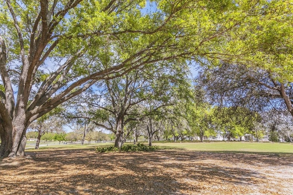 1824 Marion County Road - Photo 13