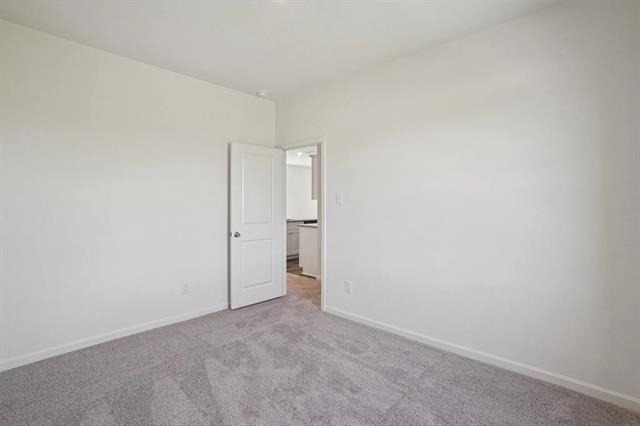 4508 Wood Fern Road - Photo 10