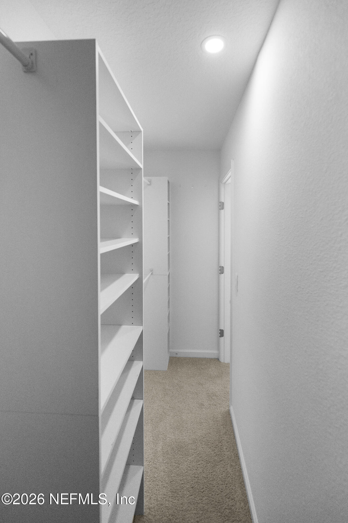 46 Wading Ibis Road - Photo 20
