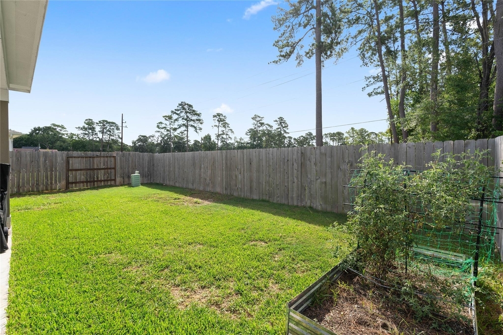 4007 Mossy Banks Lane - Photo 32