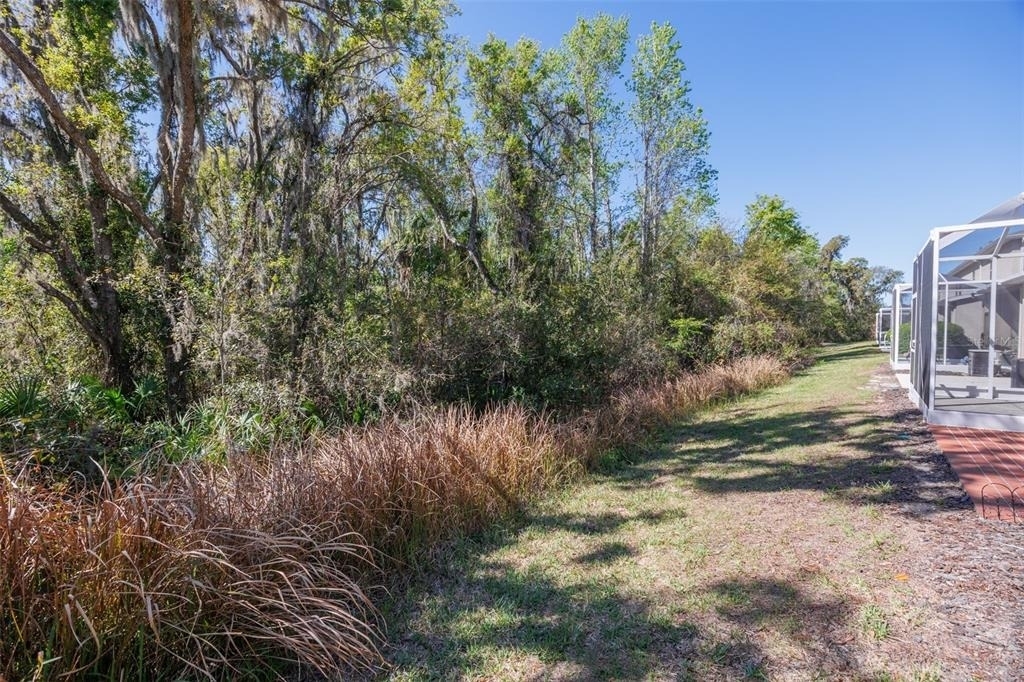 15843 Fishhawk View Drive - Photo 26