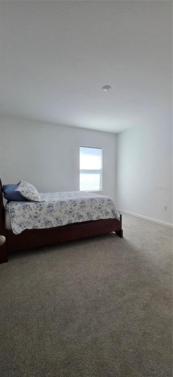 299 Bottle Brush Drive - Photo 17