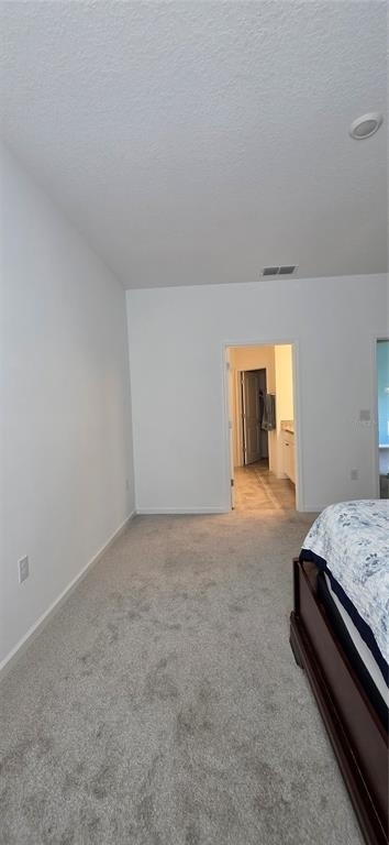 299 Bottle Brush Drive - Photo 19